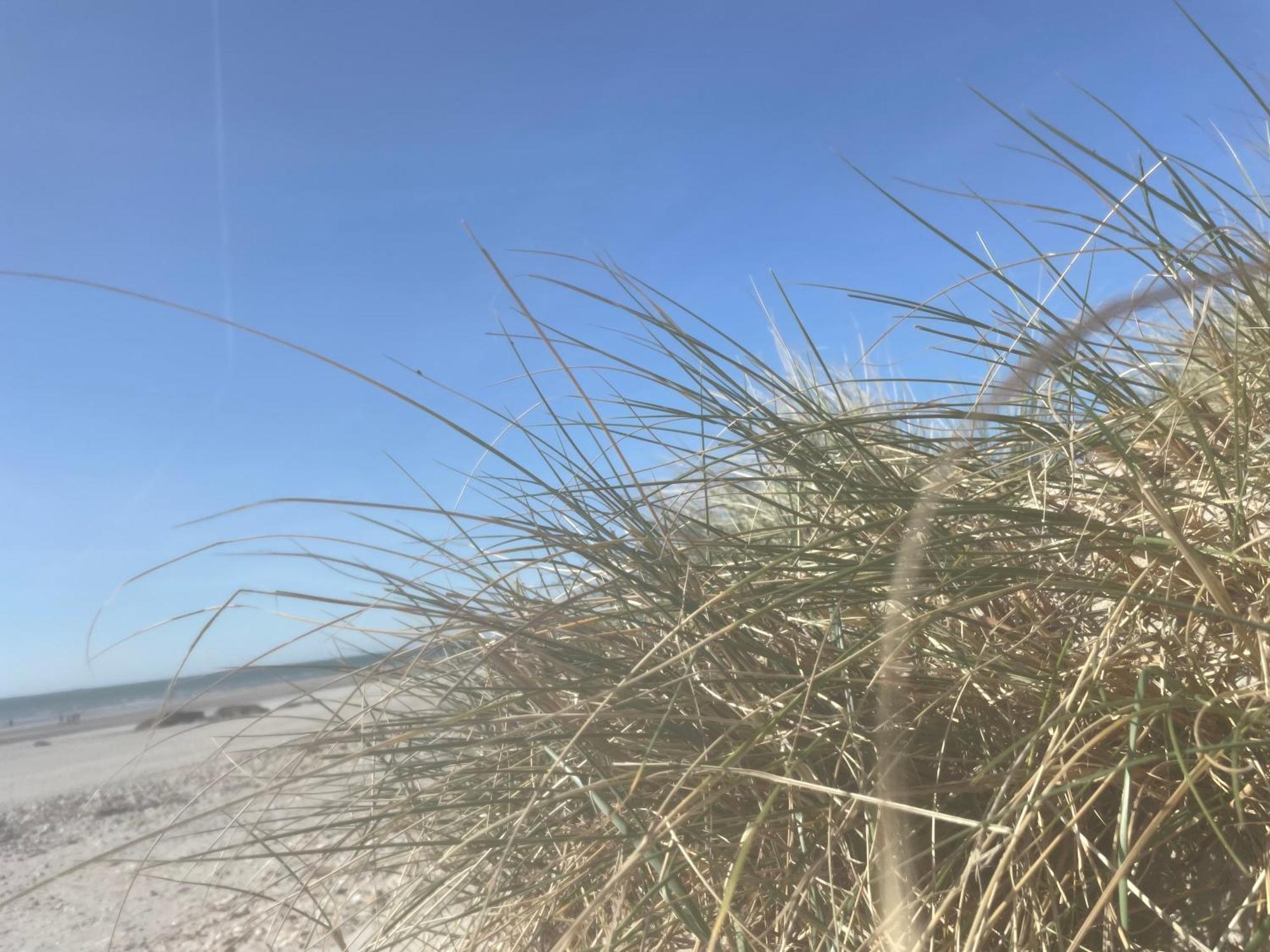 Vue Mer, Golfe Et Dunes- Residence Dunes Du Golfe 위머로우 외부 사진